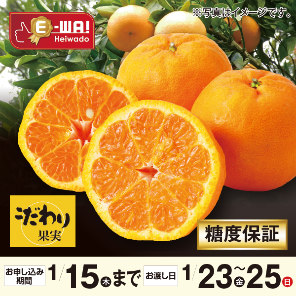 愛媛県産 JAにしうわ みつる共選場 こだわり果実【糖度保証】蜜るぽんかん