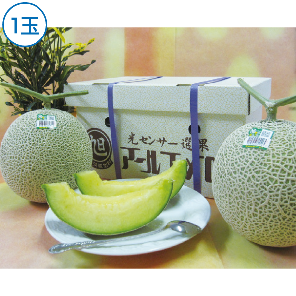 茨城県産JA茨城旭村　アールスメロン　1玉