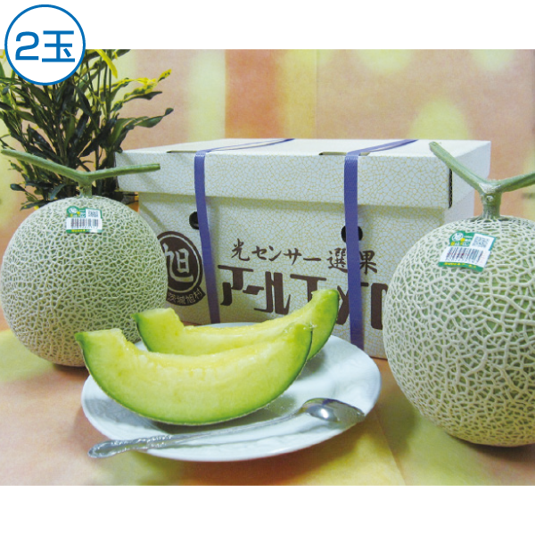 茨城県産JA茨城旭村　アールスメロン　2玉
