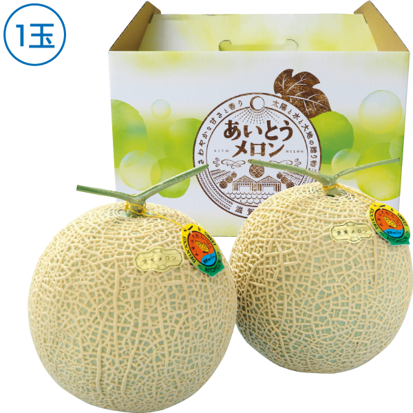 滋賀県産JA湖東　あいとう温室メロン　1玉