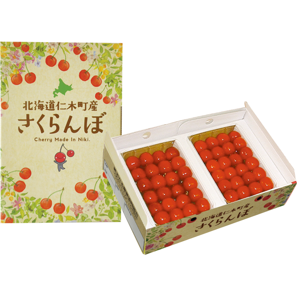 北海道産JA新おたる　さくらんぼ（佐藤錦）　280g×2パック