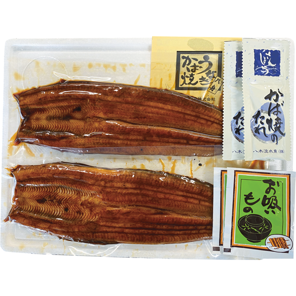 八木淡水魚　静岡県産うなぎ蒲焼　2尾