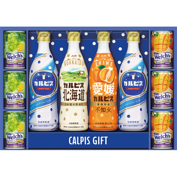 アサヒ飲料　カルピスギフト　VL35R