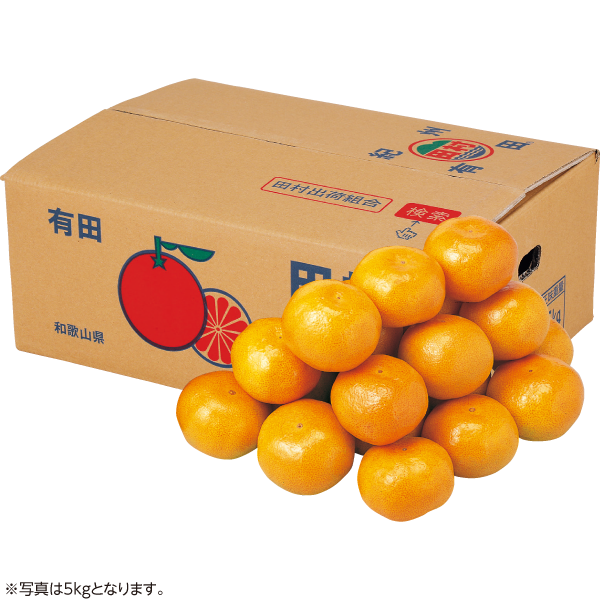 和歌山県産（田村出荷組合）　田村みかん　5kg