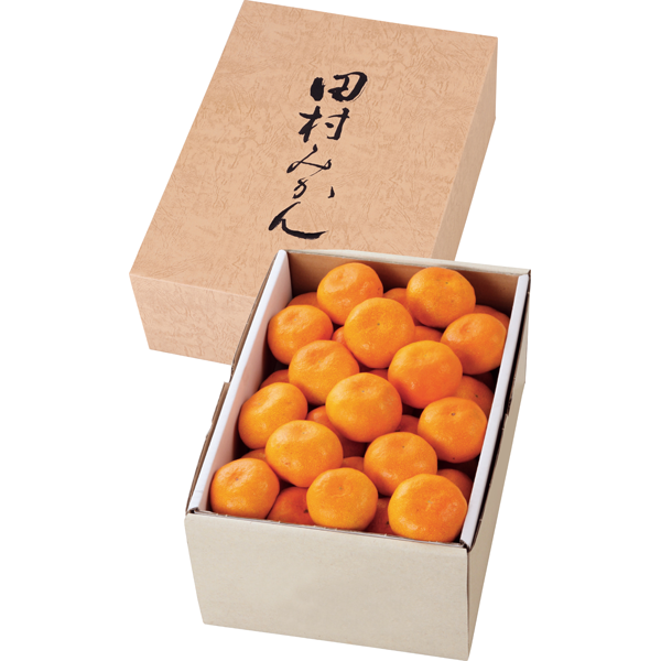 和歌山県産（田村出荷組合）　森さん家の田村みかん　4kg