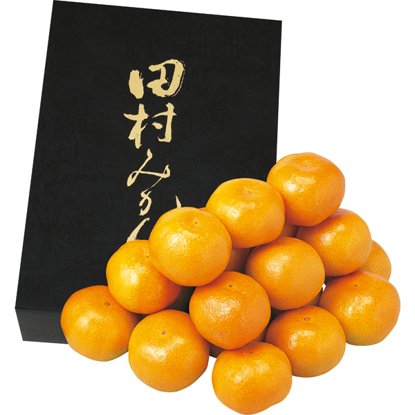 和歌山県産（田村出荷組合）　森さん家のプレミアム田村みかん　2kg