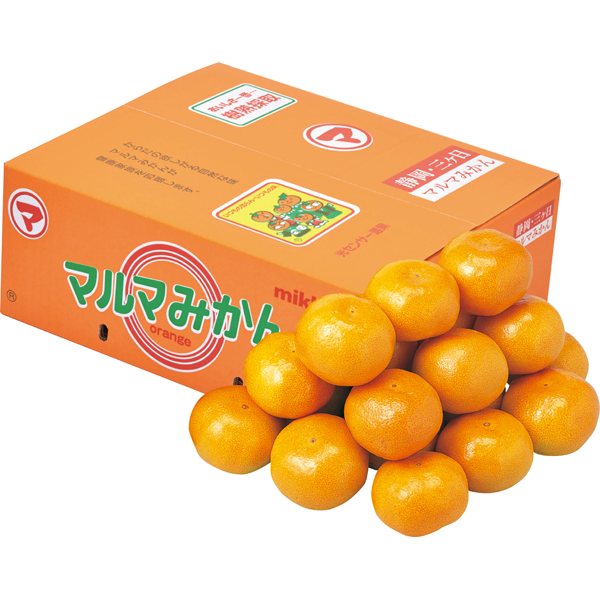 静岡県産マルマ柑橘出荷組合　マルマ三ケ日みかん　5kg