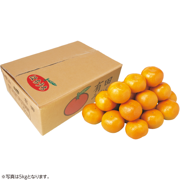 和歌山県産　鉢内さんの手よりみかん　5kg