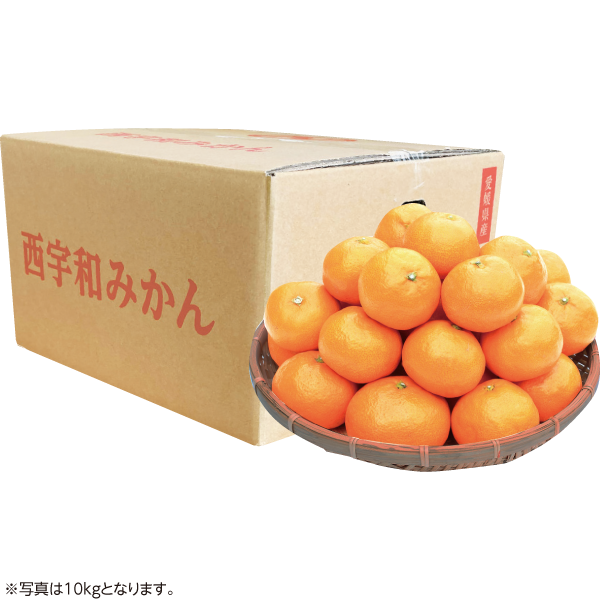 愛媛県産JAにしうわ　西宇和みかん　5kg