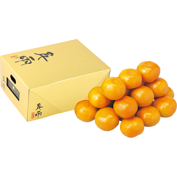 愛媛県産JAにしうわ（日の丸選果場）　ゴールド千両箱（特秀）