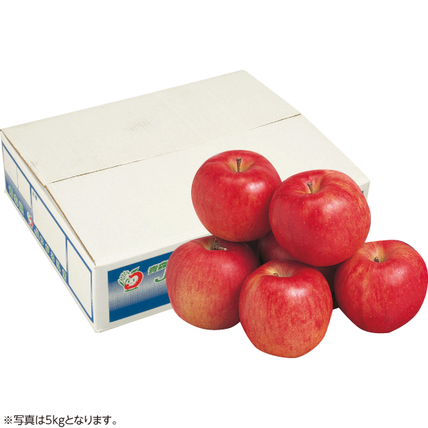 青森県産JAつがる弘前　メジャーふじ（サンふじ）　3kg