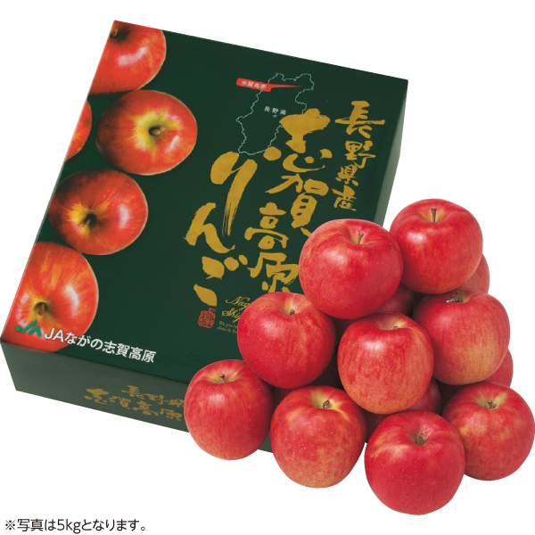 長野県産（JAながの志賀高原支所）　志賀高原サンふじ　2.5kg