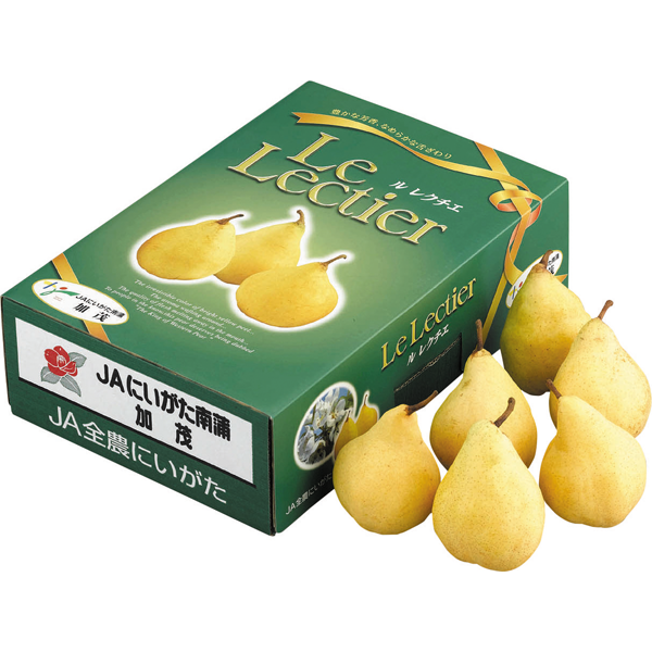 新潟県産　ルレクチェ　2kg