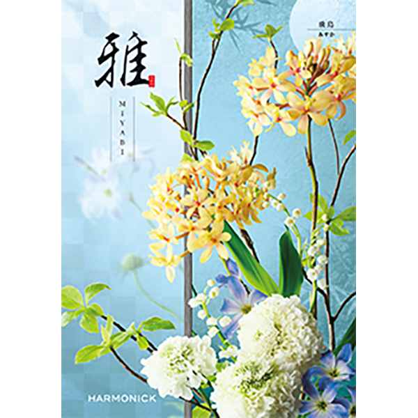 雅　飛鳥〈あすか〉
