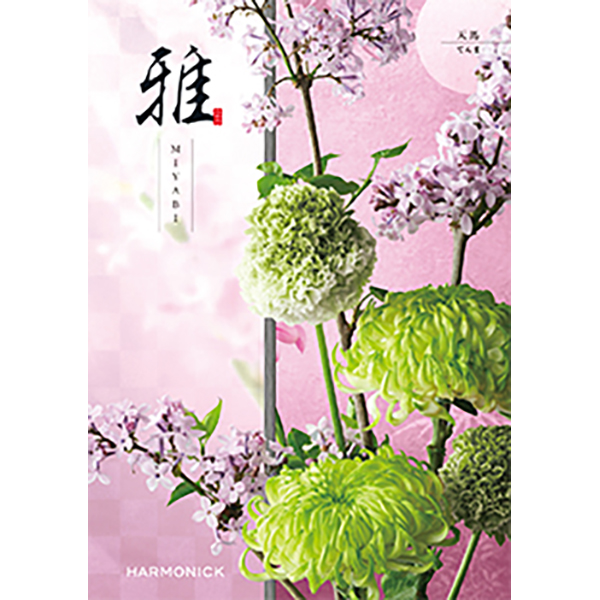 雅　天馬〈てんま〉