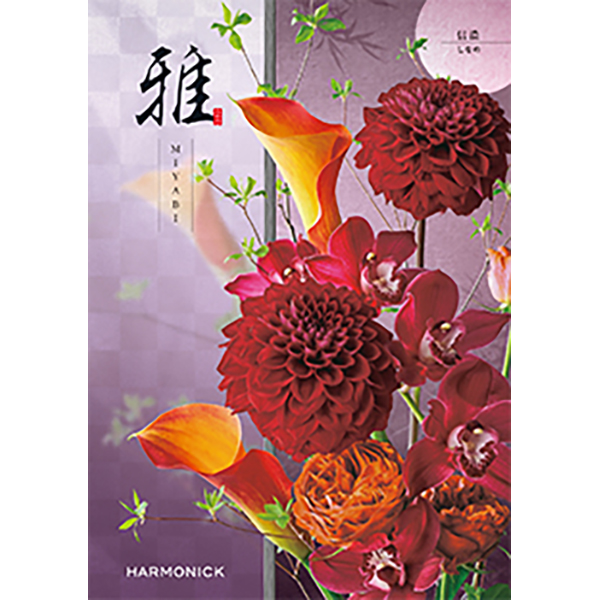 雅　信濃〈しなの〉