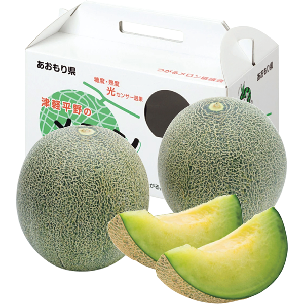 青森県産JAごしょつがる　タカミメロン　2玉