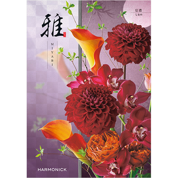 雅　信濃〈しなの〉