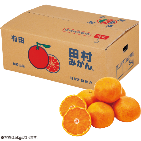 和歌山県産（田村出荷組合） 田村みかん 10kg