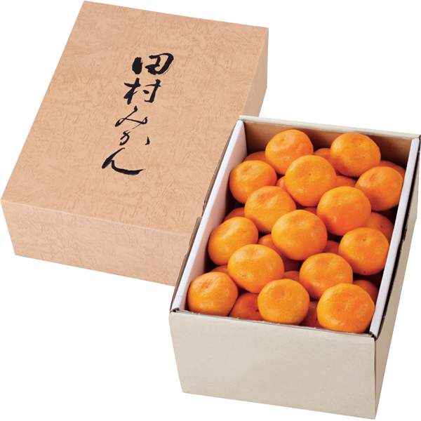 和歌山県産（田村出荷組合） 森さん家の田村みかん 4kg