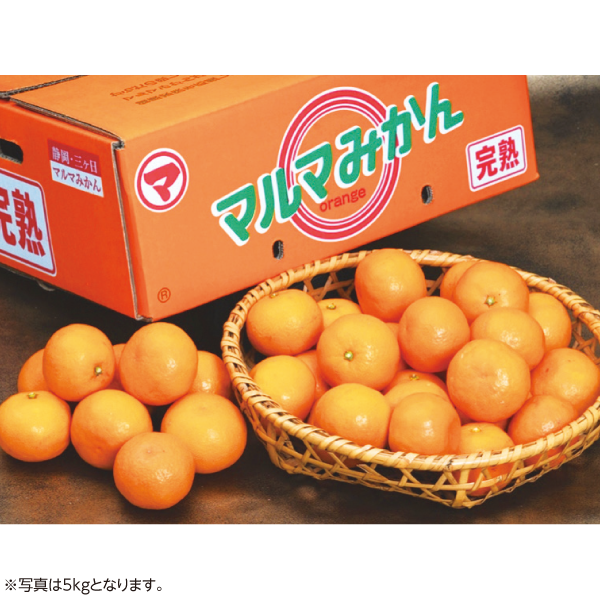 静岡県産マルマ柑橘出荷組合 マルマ三ケ日みかん（特選） 5kg