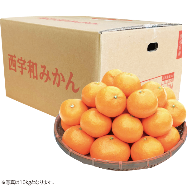 愛媛県産JAにしうわ 西宇和みかん 5kg