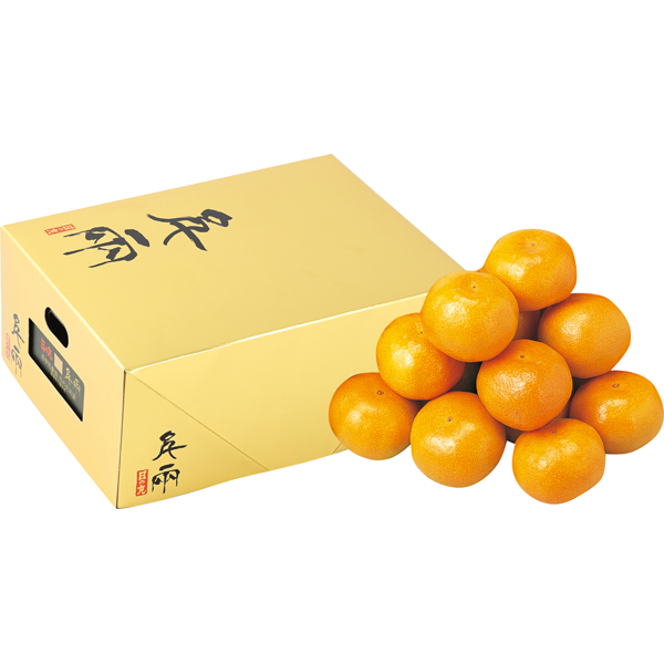 愛媛県産JAにしうわ（日の丸選果場） ゴールド千両箱（特秀）
