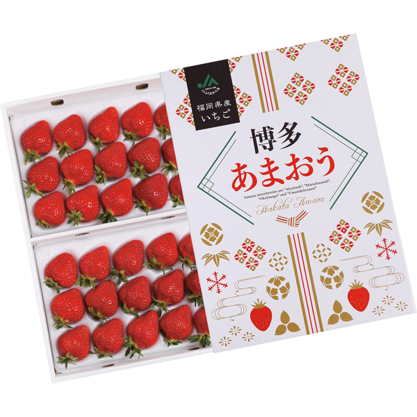 福岡県産JAふくおか八女 博多あまおういちご 700g