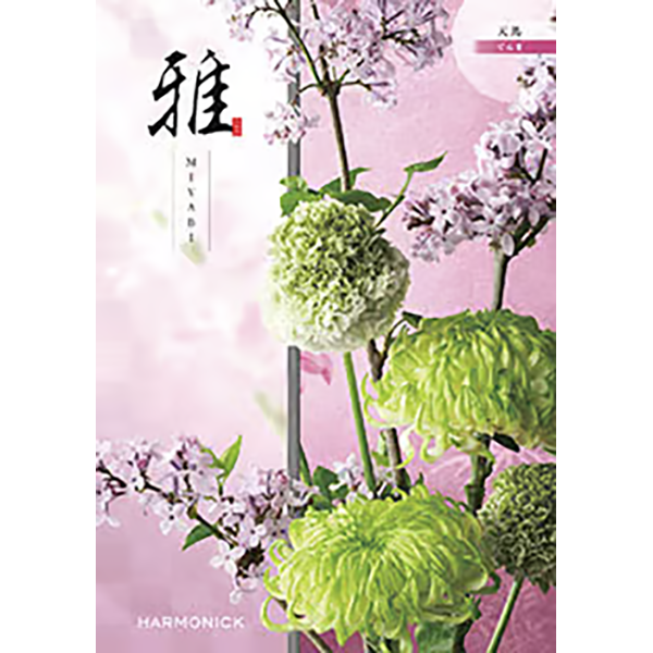 雅 天馬〈てんま〉