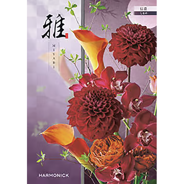雅 信濃〈しなの〉