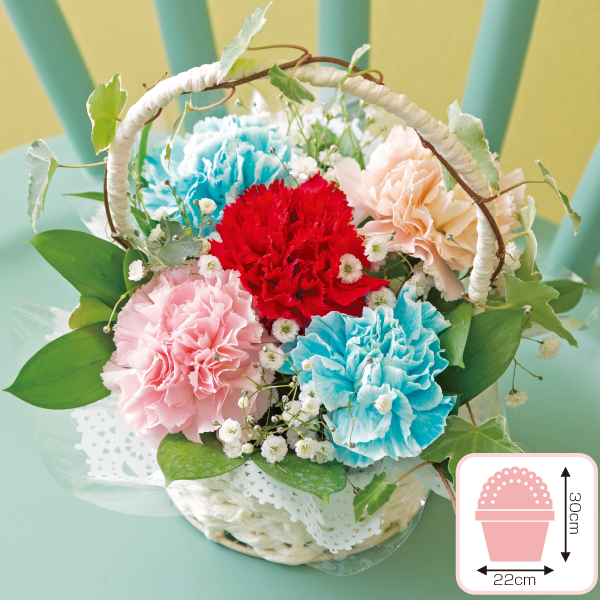 母の日アレンジバスケット（染めカーネーション）