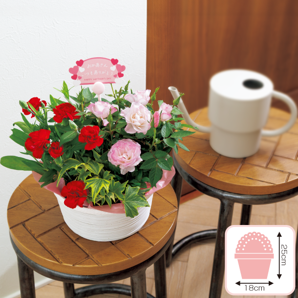 マザーズバスケット（寄せかご）