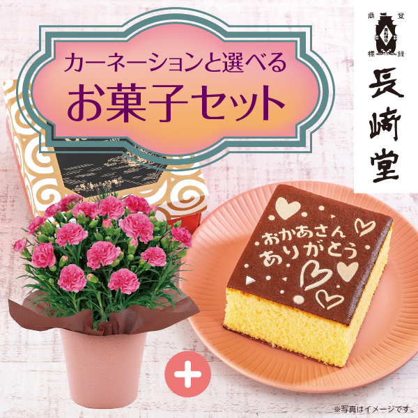 カーネーション（ピンク）&長﨑堂「絵柄入りカステーラ」