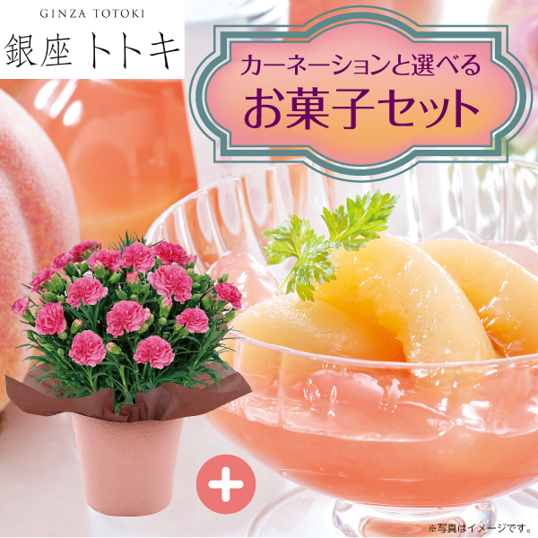 カーネーション（ピンク）&銀座トトキ監修「山形県産白桃ゼリー」