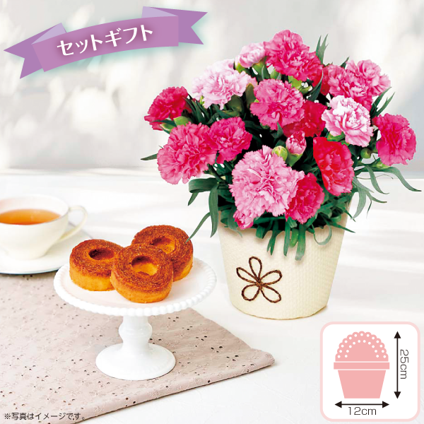 カーネーション（ホットハート）＆Ｔ. Ｄ. Ｅａｒｌｙキャラメリゼバウム