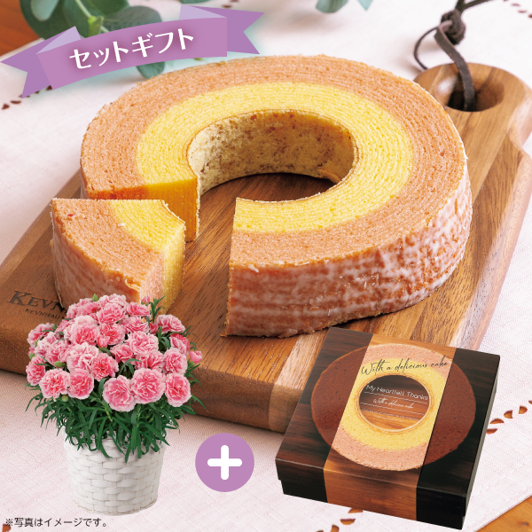 カーネーション「ティーパーティー」&まろやかな輪～苺ミルクセット～