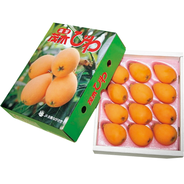 〔フルーツ〕長崎県産ハウスびわ