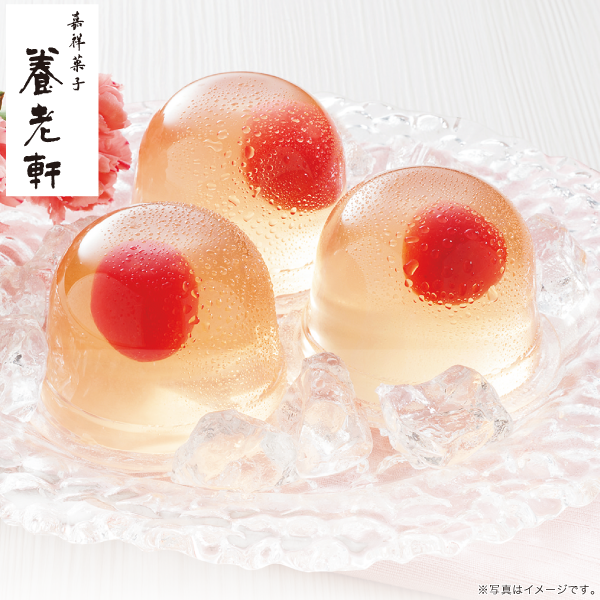 京都 養老軒 山形県産さくらんぼのゼリー　M-YJ-CZ