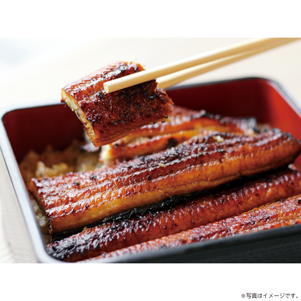 山田水産 鹿児島県産うなぎ蒲焼